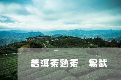 普洱茶熟茶 易武/2023041187159